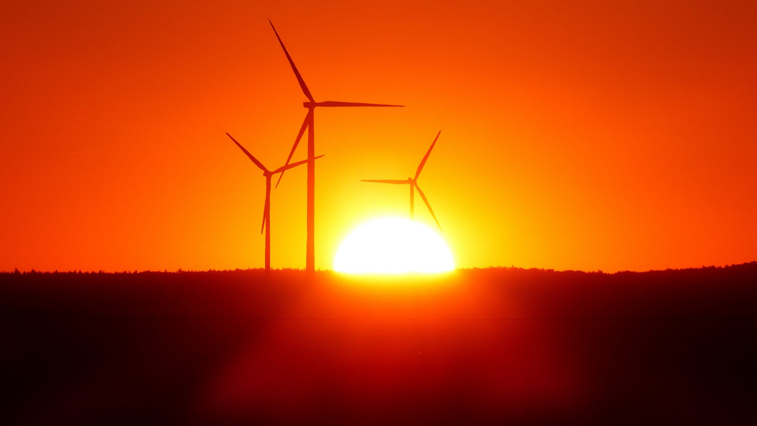 Windfarm at sunset
